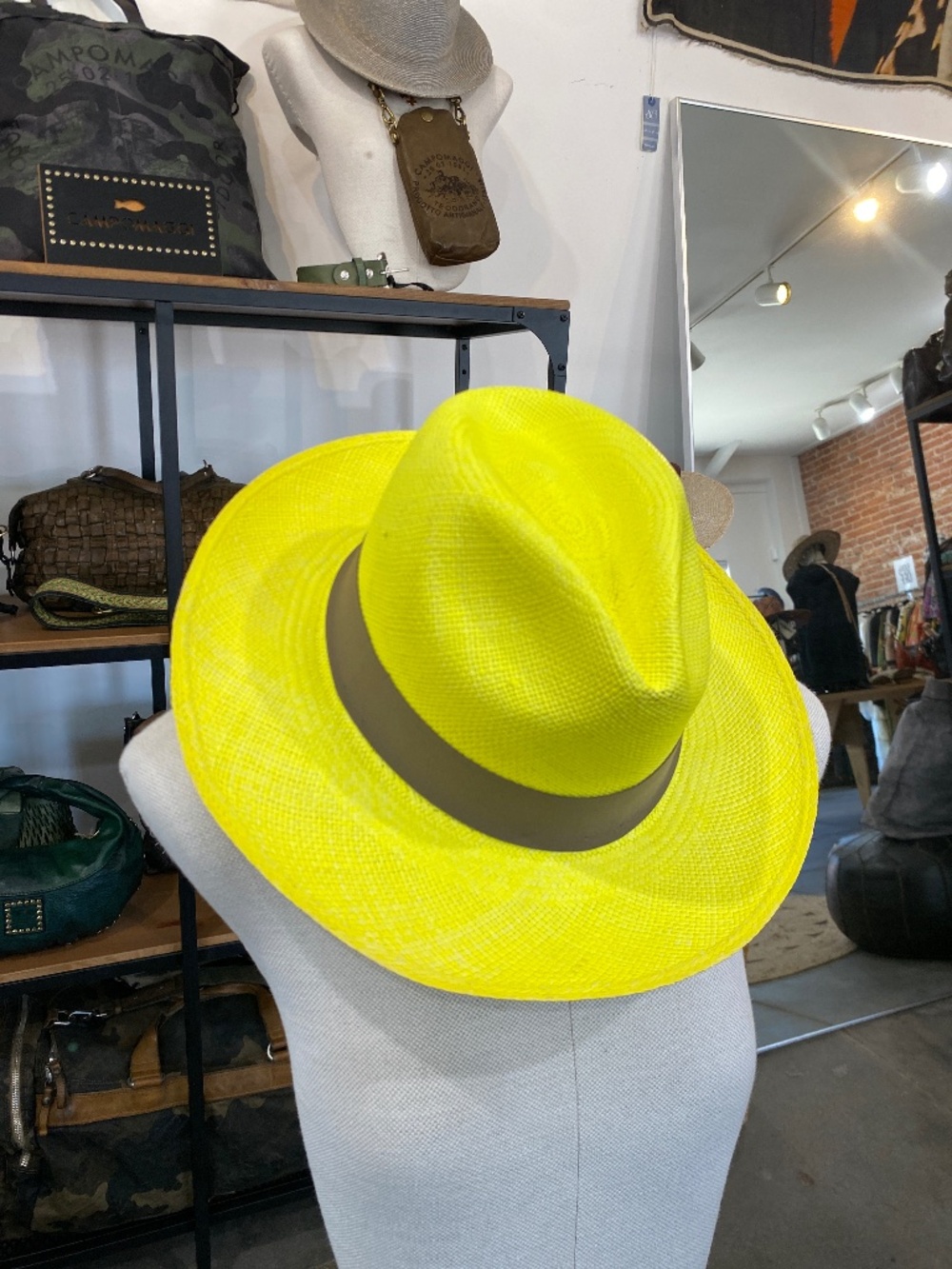 Frantic Panama in Lemon